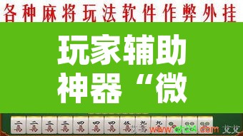 玩家辅助神器“微乐海南麻将开挂神器	”附辅助神器开挂脚本详细步骤