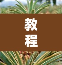 教程开挂辅助“杭州都莱大菠萝买了挂有用吗	”其实确实有挂