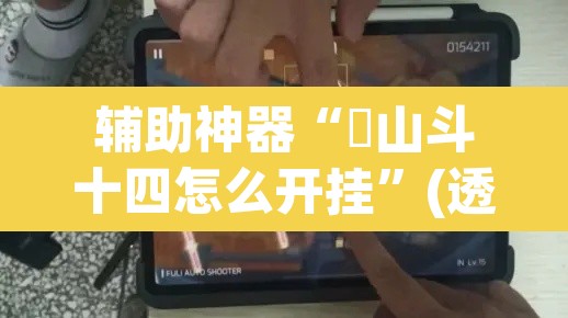 辅助神器“涼山斗十四怎么开挂”(透视)其实确实有挂