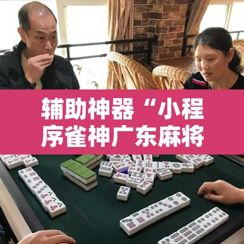 辅助神器“小程序雀神广东麻将挂”开挂辅助脚本+详细开挂安装教程