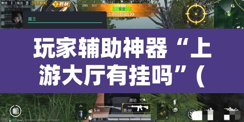 玩家辅助神器“上游大厅有挂吗”(透视)其实确实有挂