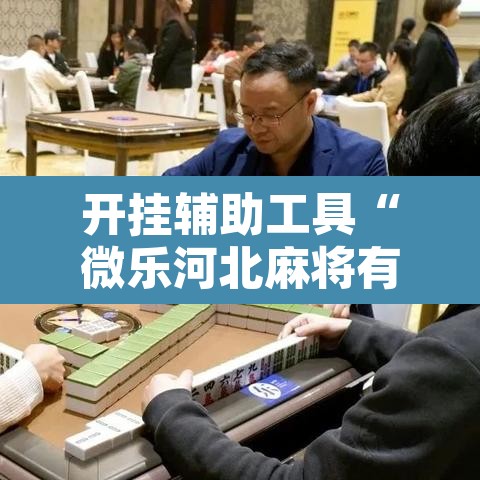 开挂辅助工具“微乐河北麻将有挂吗”其实确实有挂