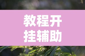教程开挂辅助“友乐广西麻将究竟有挂吗”附辅助神器开挂脚本详细步骤