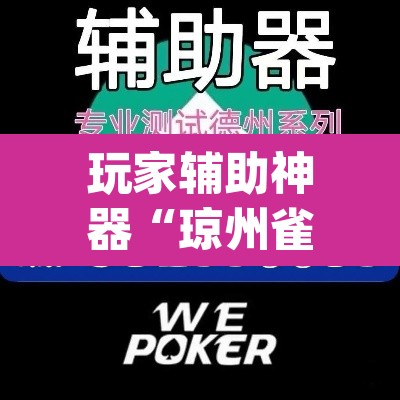 玩家辅助神器“琼州雀友有挂吗”(透视挂)辅助透视教程