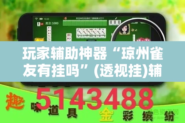 玩家辅助神器“琼州雀友有挂吗”(透视挂)辅助透视教程