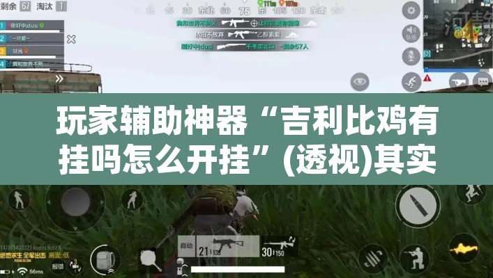 玩家辅助神器“吉利比鸡有挂吗怎么开挂”(透视)其实确实有挂