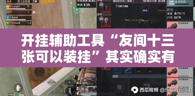 开挂辅助工具“友间十三张可以装挂”其实确实有挂