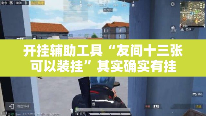 开挂辅助工具“友间十三张可以装挂”其实确实有挂