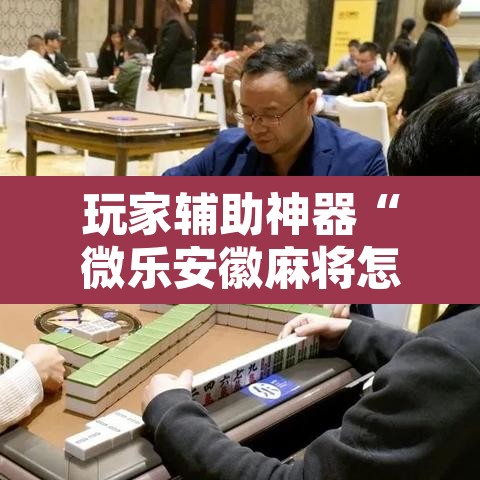 玩家辅助神器“微乐安徽麻将怎样免费开挂”开挂辅助脚本+详细开挂安装教程