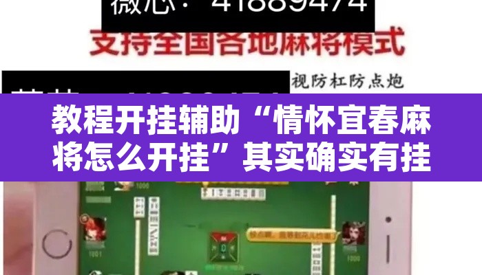 教程开挂辅助“情怀宜春麻将怎么开挂	”其实确实有挂