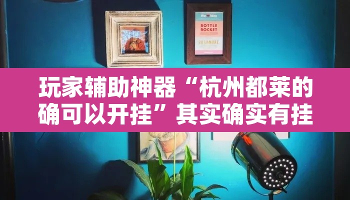 玩家辅助神器“杭州都莱的确可以开挂”其实确实有挂