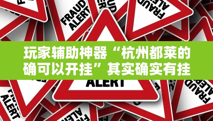 玩家辅助神器“杭州都莱的确可以开挂	”其实确实有挂