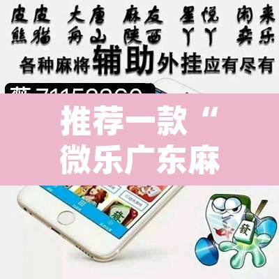 推荐一款“微乐广东麻将怎么提高胜率	”(透视挂)辅助透视教程