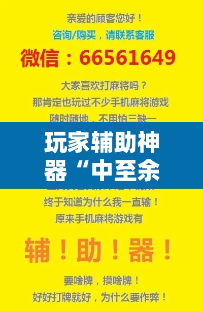 玩家辅助神器“中至余干小程序辅助器”(透视挂)辅助透视教程