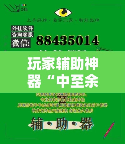 玩家辅助神器“中至余干小程序辅助器”(透视挂)辅助透视教程