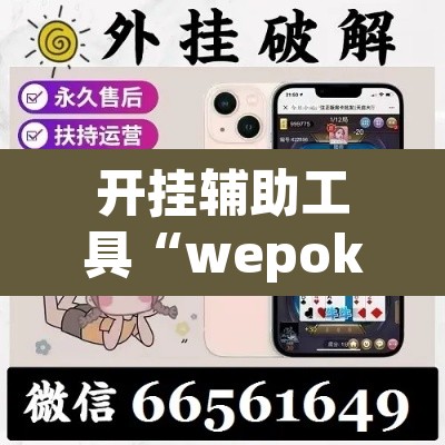 开挂辅助工具“wepoker作弊透视脚本”其实确实有挂