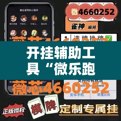 开挂辅助工具“微乐跑得快开挂教程	”开挂辅助脚本+详细开挂安装教程