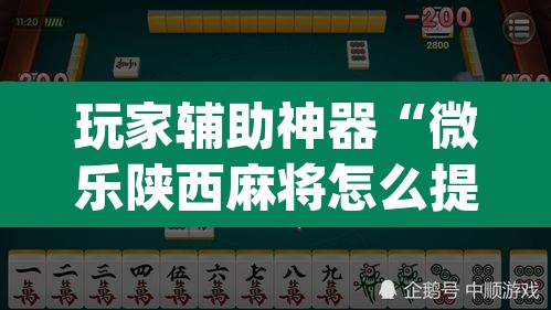玩家辅助神器“微乐陕西麻将怎么提高胜率”(透视)其实确实有挂