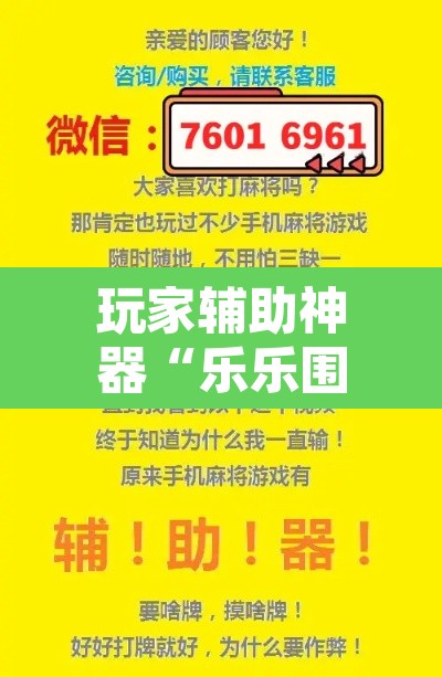 玩家辅助神器“乐乐围棋入门挂	”附辅助神器开挂脚本详细步骤