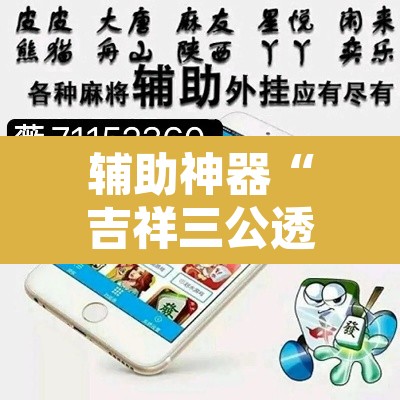 辅助神器“吉祥三公透视是真的吗”其实确实有挂