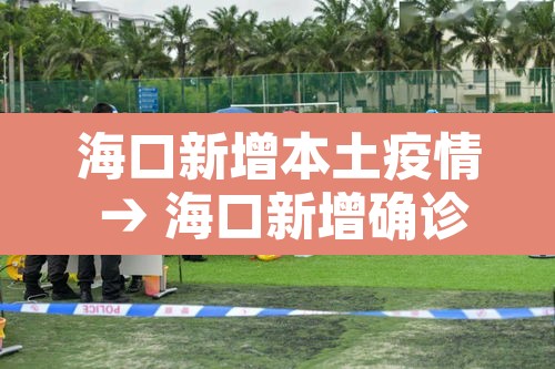 海口新增本土疫情 → 海口新增确诊病例