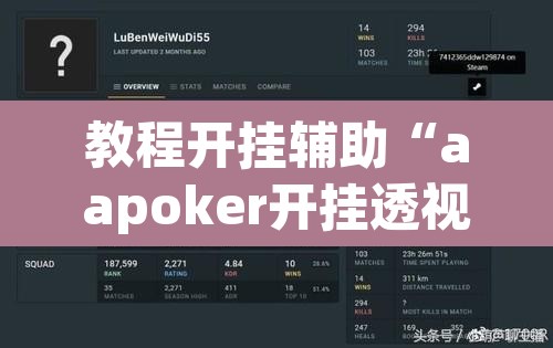 教程开挂辅助“aapoker开挂透视方法”其实确实有挂