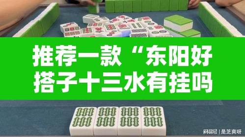 推荐一款“东阳好搭子十三水有挂吗”其实确实有挂
