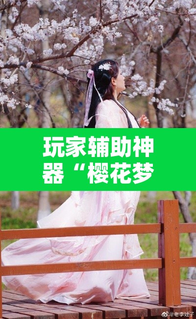 玩家辅助神器“樱花梦雨真的可以开挂吗”其实确实有挂