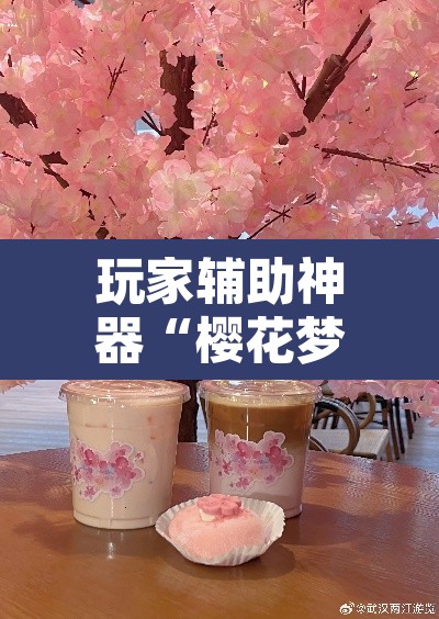 玩家辅助神器“樱花梦雨真的可以开挂吗”其实确实有挂