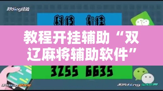 教程开挂辅助“双辽麻将辅助软件”其实确实有挂