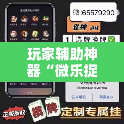 玩家辅助神器“微乐捉鸡麻将开挂教程步骤图	”其实确实有挂