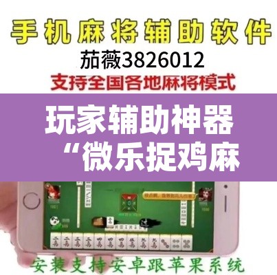 玩家辅助神器“微乐捉鸡麻将开挂教程步骤图”其实确实有挂