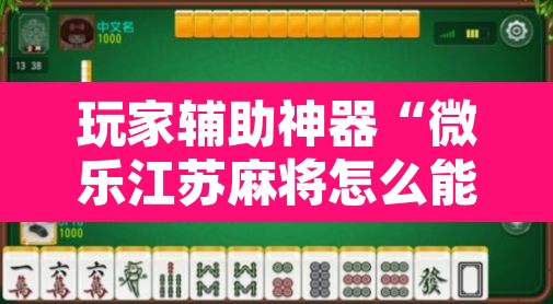 玩家辅助神器“微乐江苏麻将怎么能赢”其实确实有挂