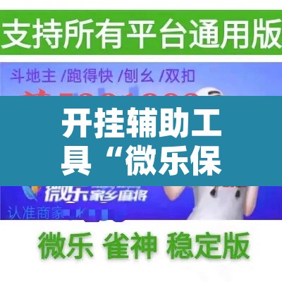 开挂辅助工具“微乐保皇挂”开挂辅助脚本+详细开挂安装教程