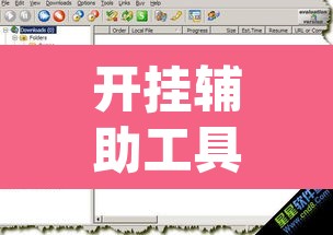 开挂辅助工具“德扑之星'透视挂软件”(透视)其实确实有挂