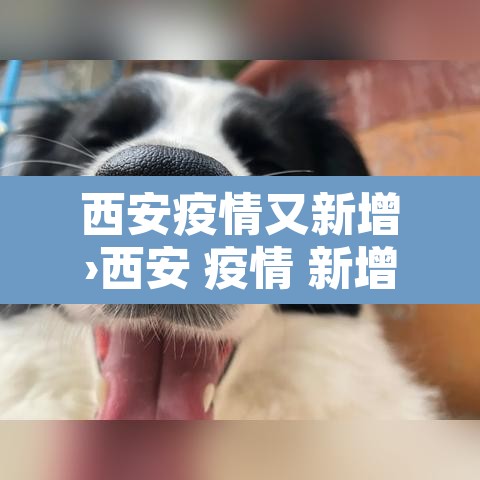 西安疫情又新增›西安 疫情 新增 西安疫情又新增›西安 疫情 新增