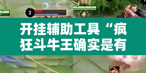 开挂辅助工具“疯狂斗牛王确实是有挂吗”其实确实有挂