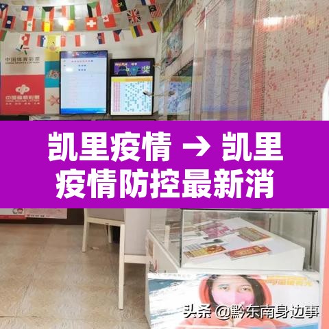 凯里疫情 → 凯里疫情防控最新消息