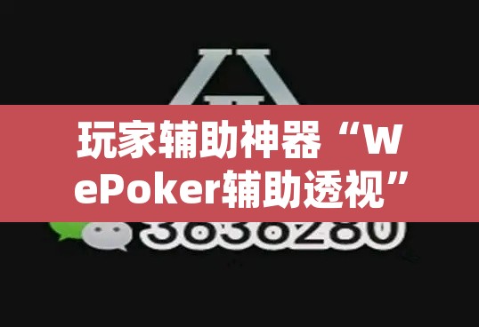 玩家辅助神器“WePoker辅助透视	”(透视挂)辅助透视教程