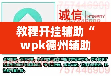 教程开挂辅助“wpk德州辅助”(透视)其实确实有挂
