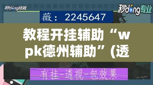 教程开挂辅助“wpk德州辅助”(透视)其实确实有挂