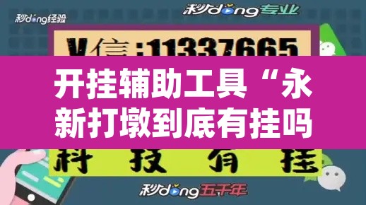 开挂辅助工具“永新打墩到底有挂吗”(透视挂)辅助透视教程