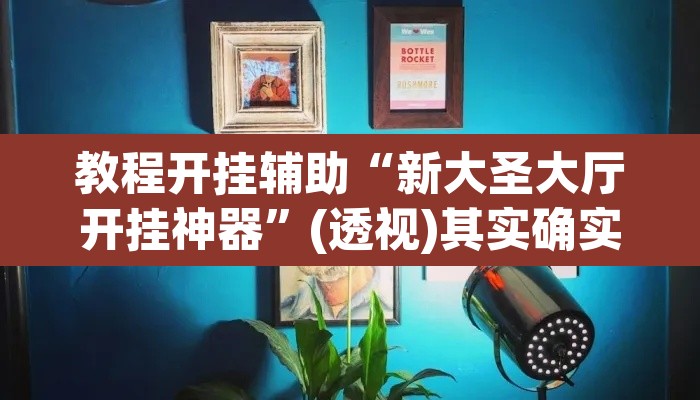 教程开挂辅助“新大圣大厅开挂神器”(透视)其实确实有挂