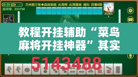 教程开挂辅助“菜鸟麻将开挂神器”其实确实有挂