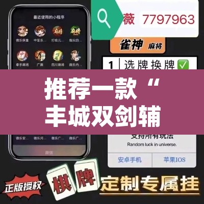 推荐一款“丰城双剑辅助器”附辅助神器开挂脚本详细步骤
