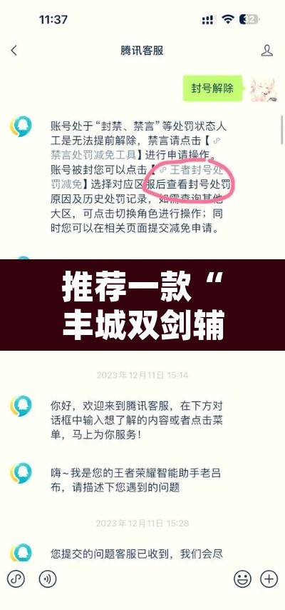 推荐一款“丰城双剑辅助器”附辅助神器开挂脚本详细步骤