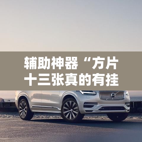 辅助神器“方片十三张真的有挂吗”(透视)其实确实有挂