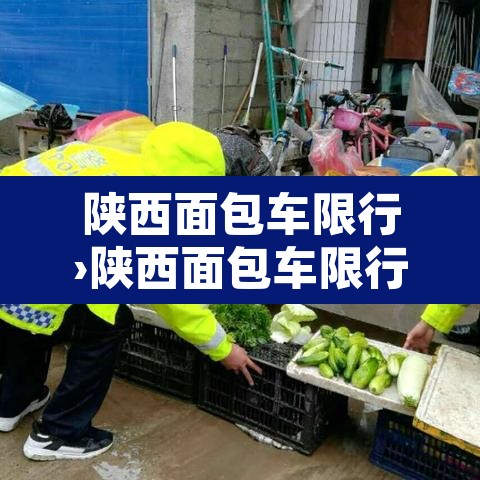 陕西面包车限行›陕西面包车限行规定