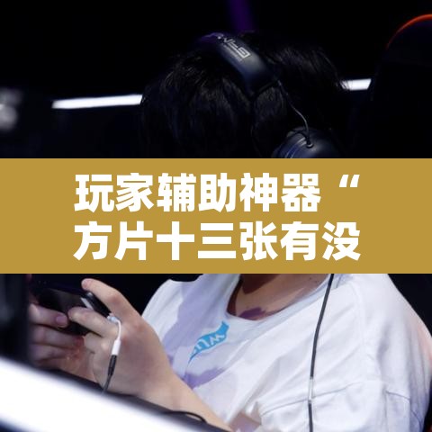 玩家辅助神器“方片十三张有没有挂”其实确实有挂