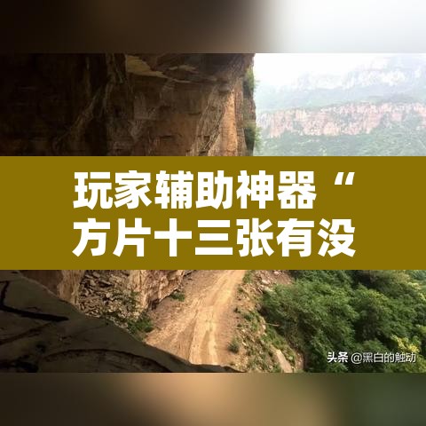 玩家辅助神器“方片十三张有没有挂	”其实确实有挂